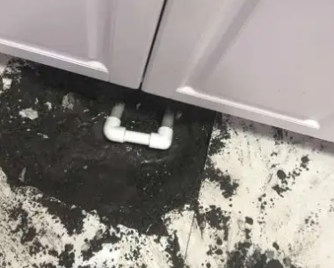 永平查漏水哪家好